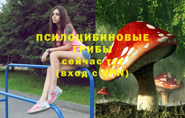 амф Балахна
