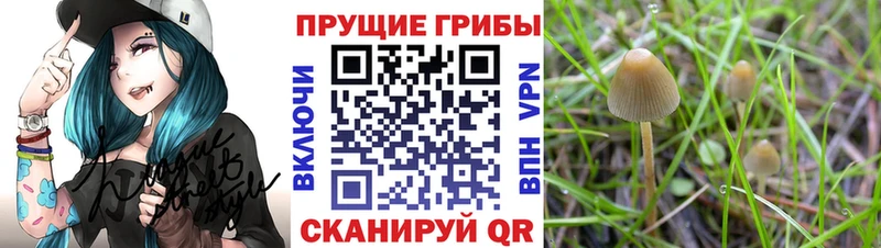 Галлюциногенные грибы ЛСД  Нязепетровск 